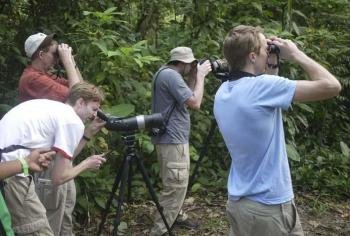 Lowland Bird Watching 5 hours, South Pacific, Costa Rica photo